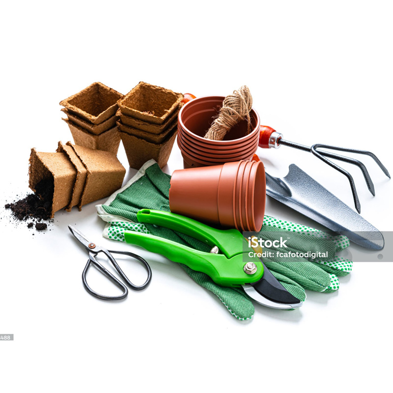 Jardinería y exteriores